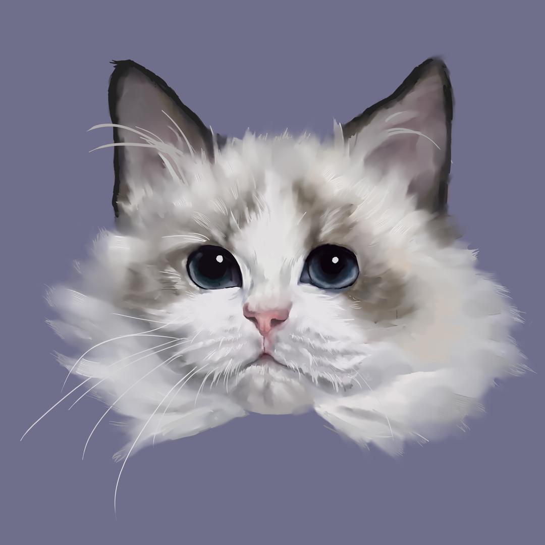 美国海外仓猫哥