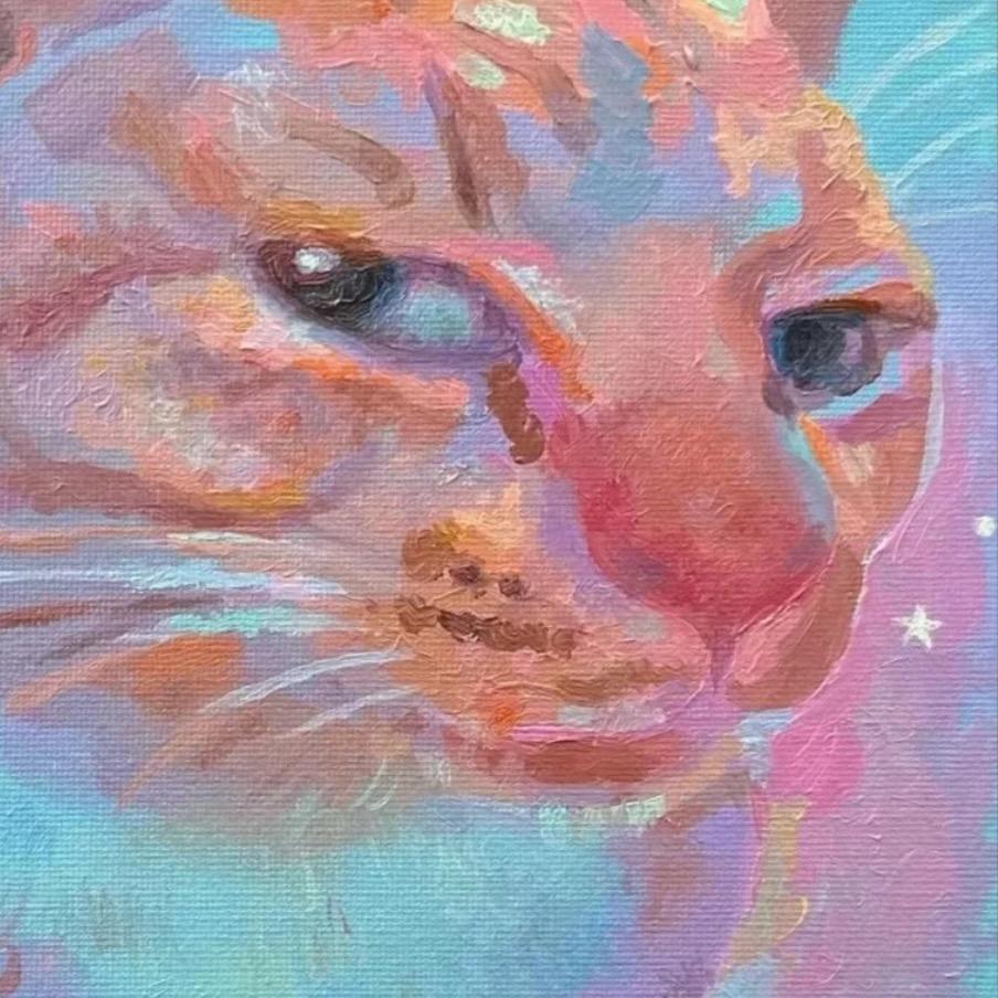 -猫劳斯-