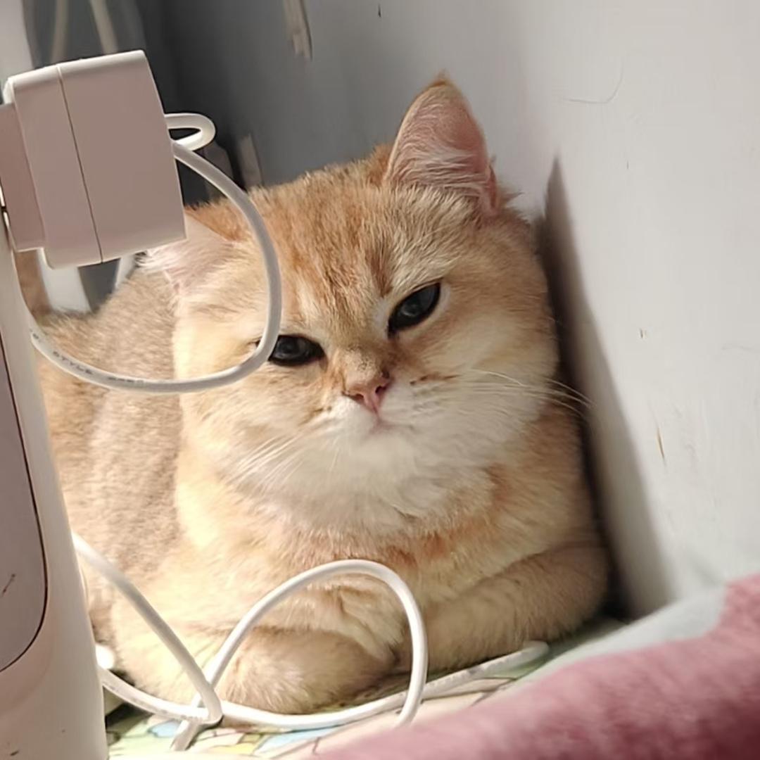 小刘装修日记🏠
