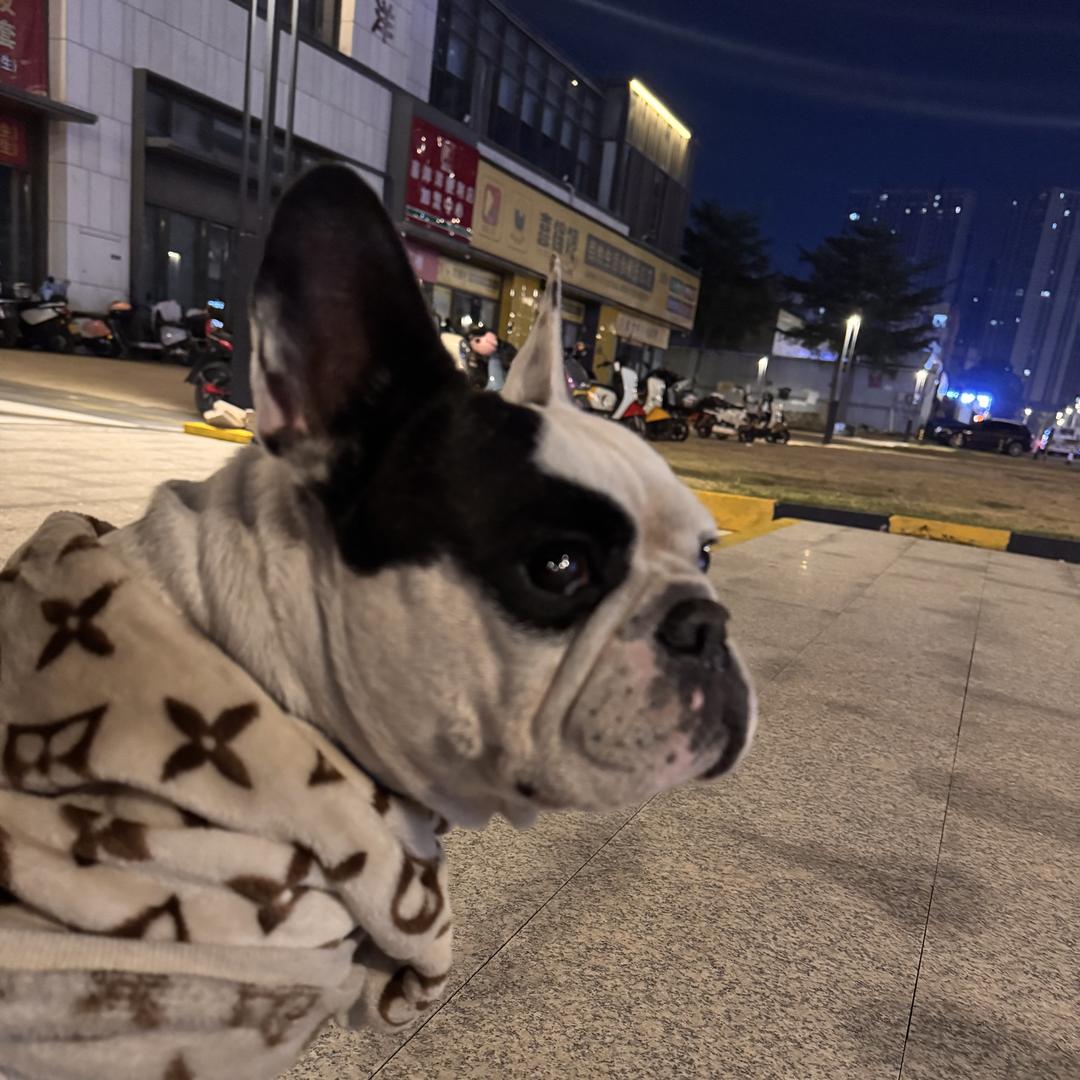 惠州顺承二手车（二手车专员）