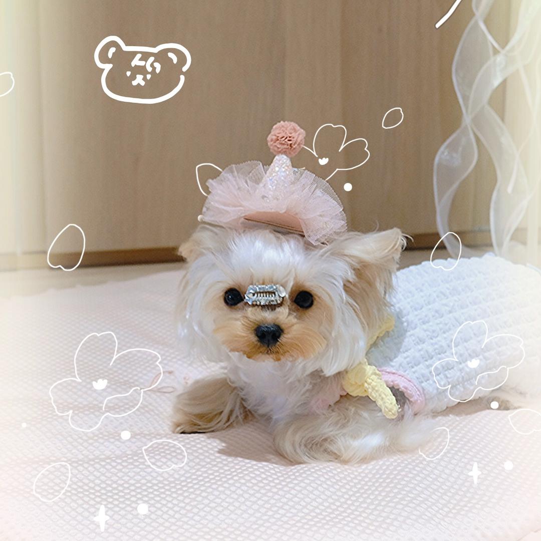 Hana小哈娜酱