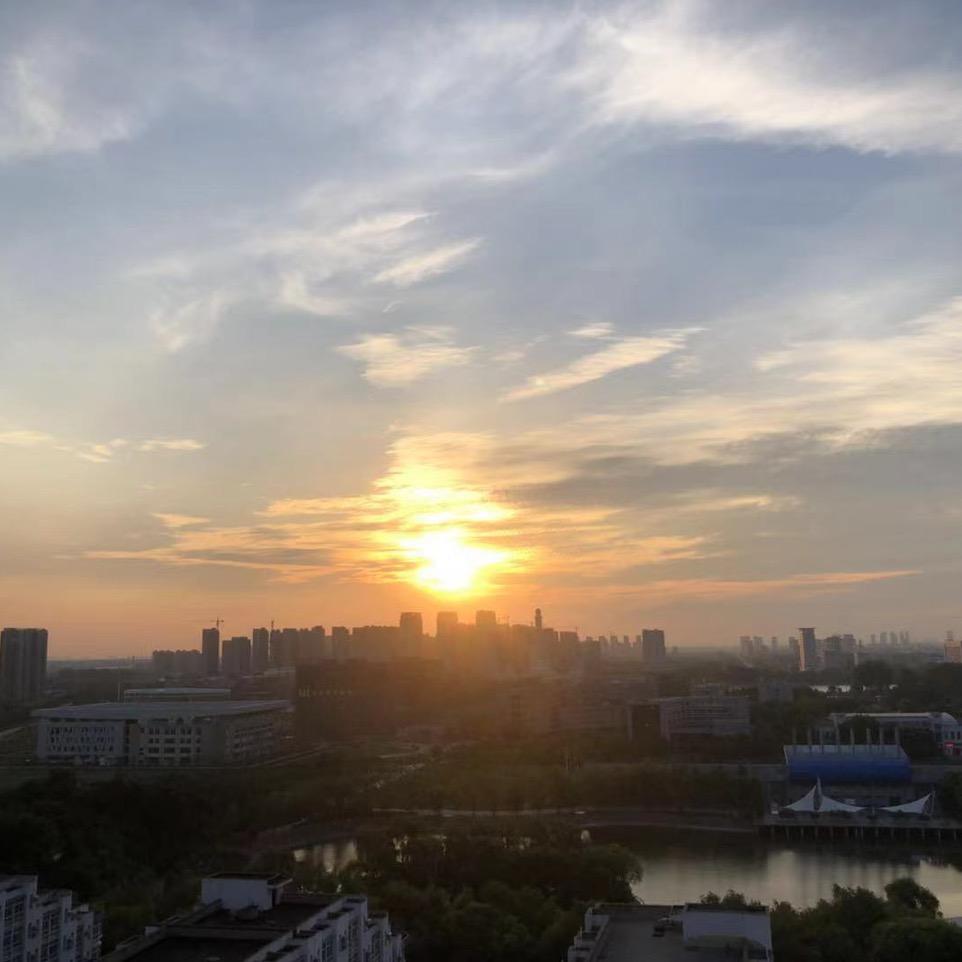 虎
