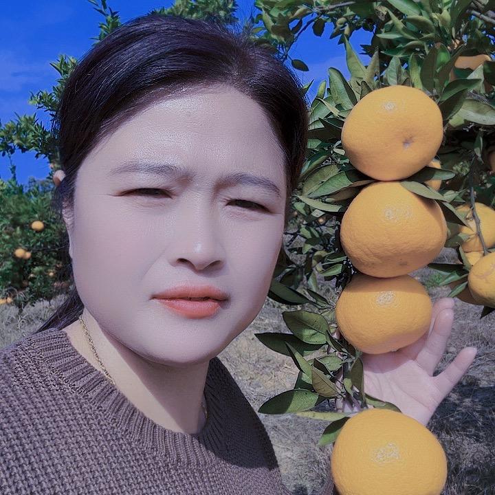 本女子西瓜，桔子等水果代办代发