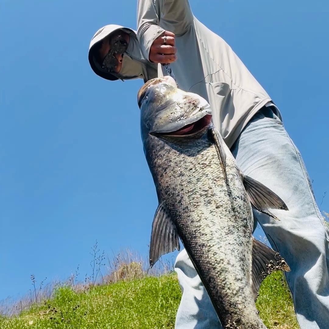 白总🎣（钓鱼版）