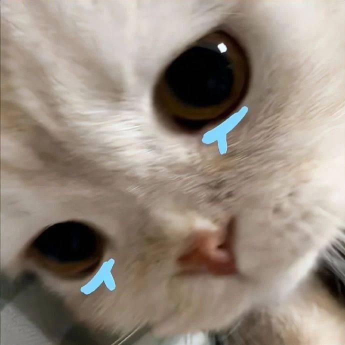 miss you