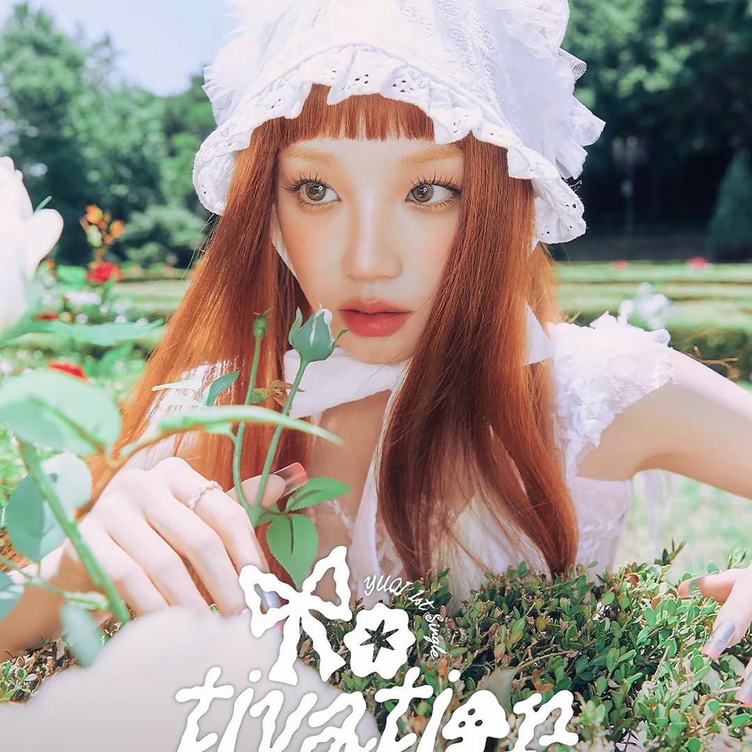 雨琦的曲琦