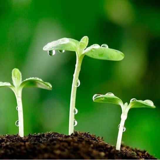 ͏͏͏͏͏清馨怡园