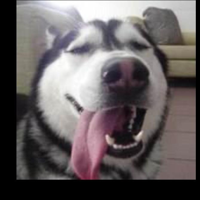 对我就是AA!!🎧