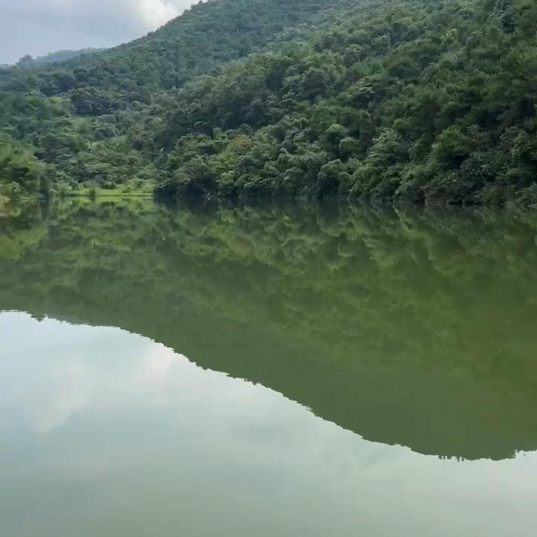 佛山鑫达钓鱼场