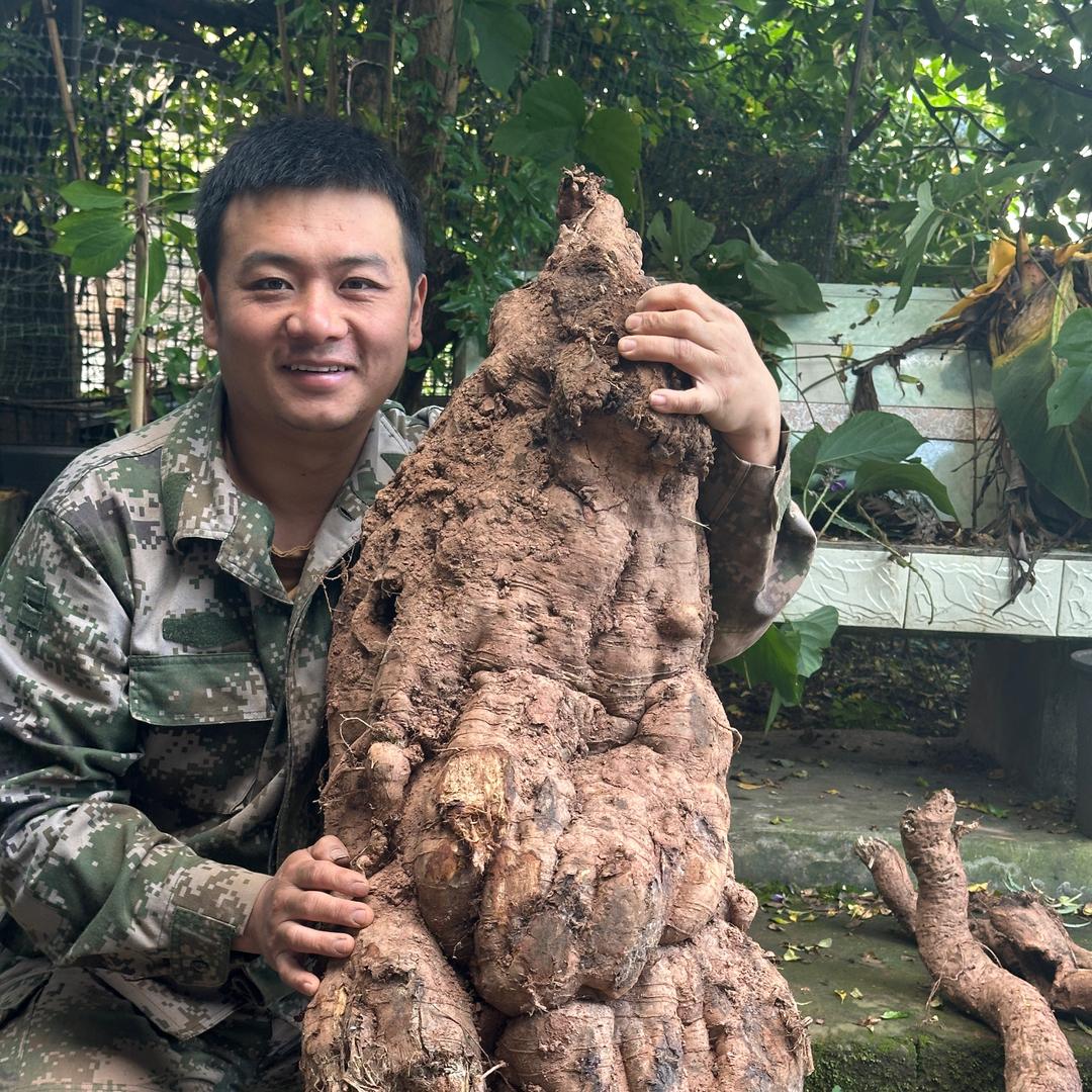 阿东的大山生活