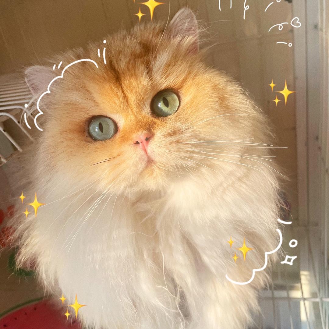 等鱼🐟