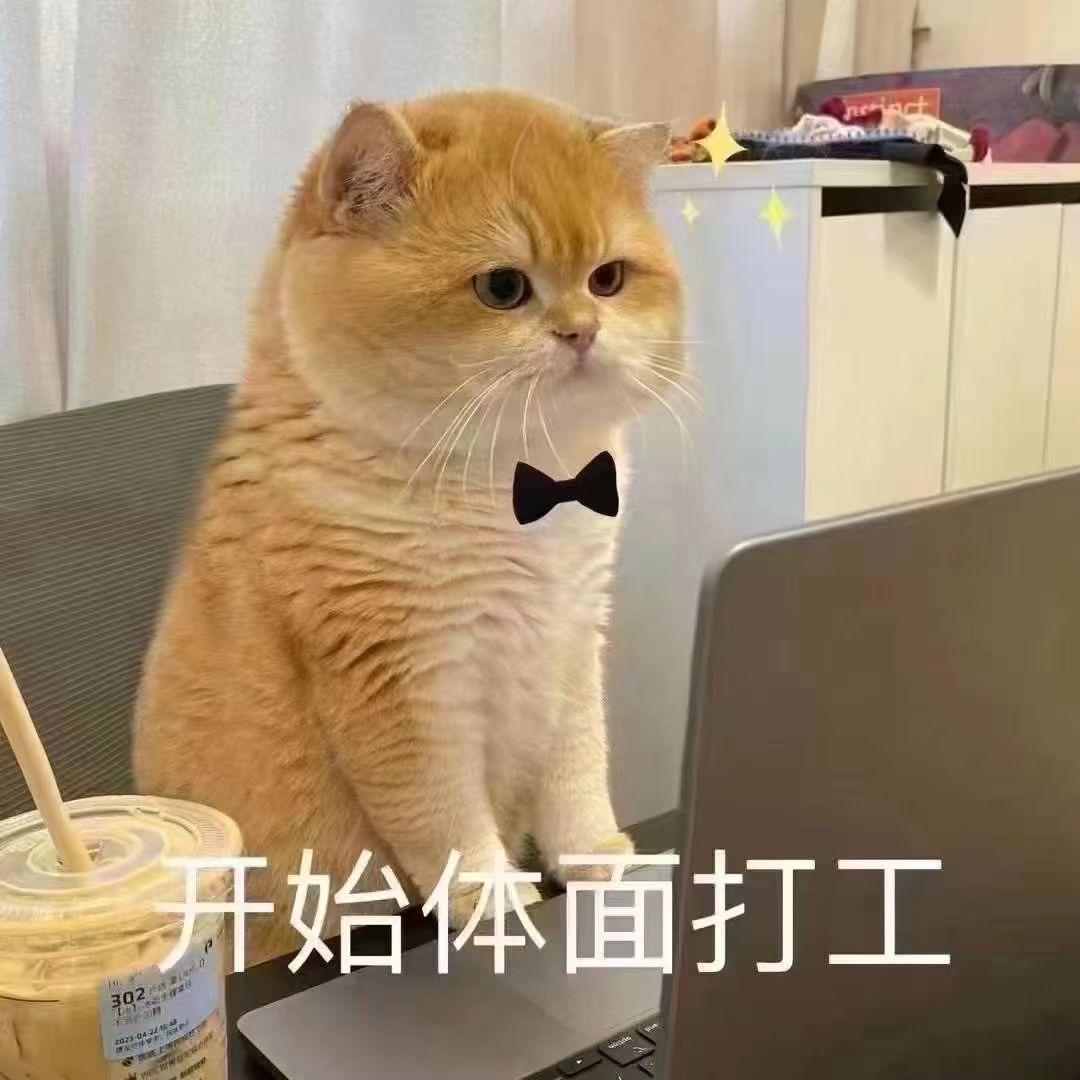 是福不是霍女士