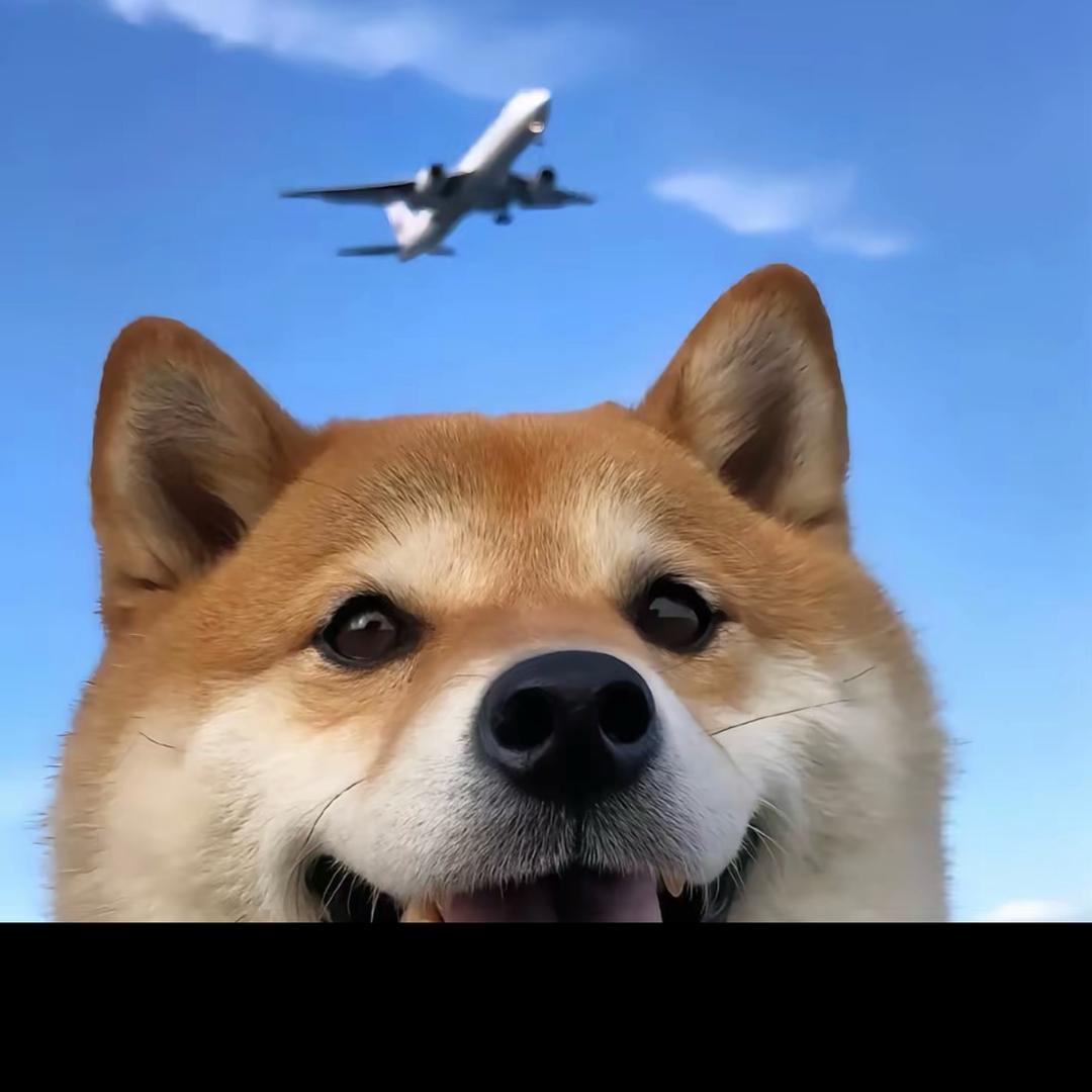 cf云墨（糕手）