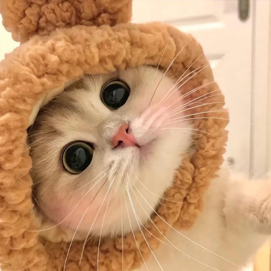 蕙质兰心叶掌柜