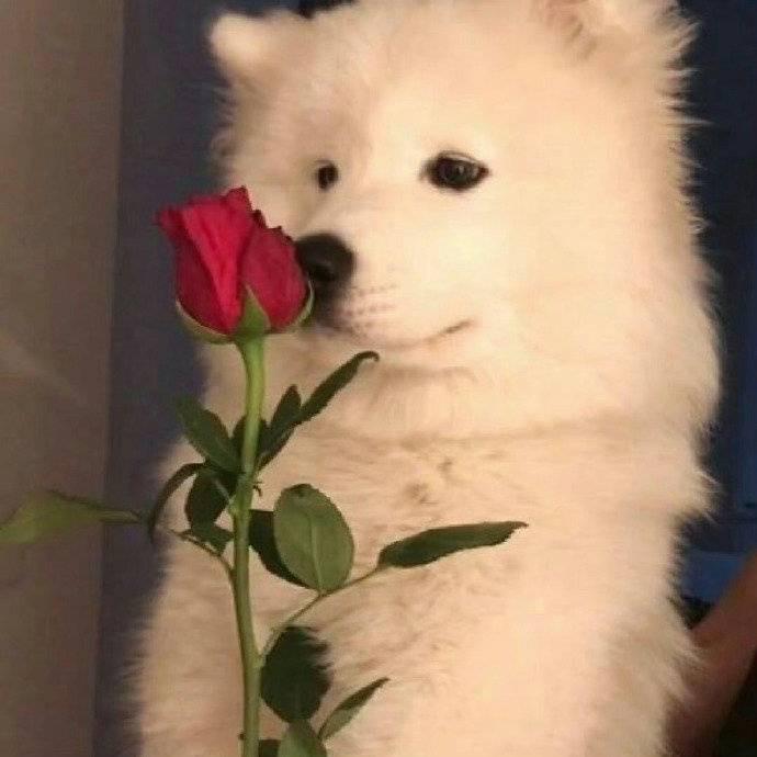 小小贺