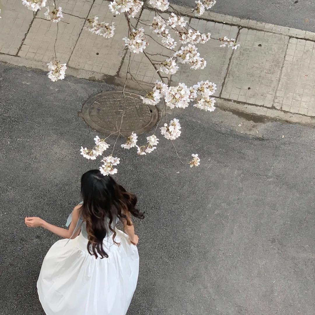 元宝小仙女