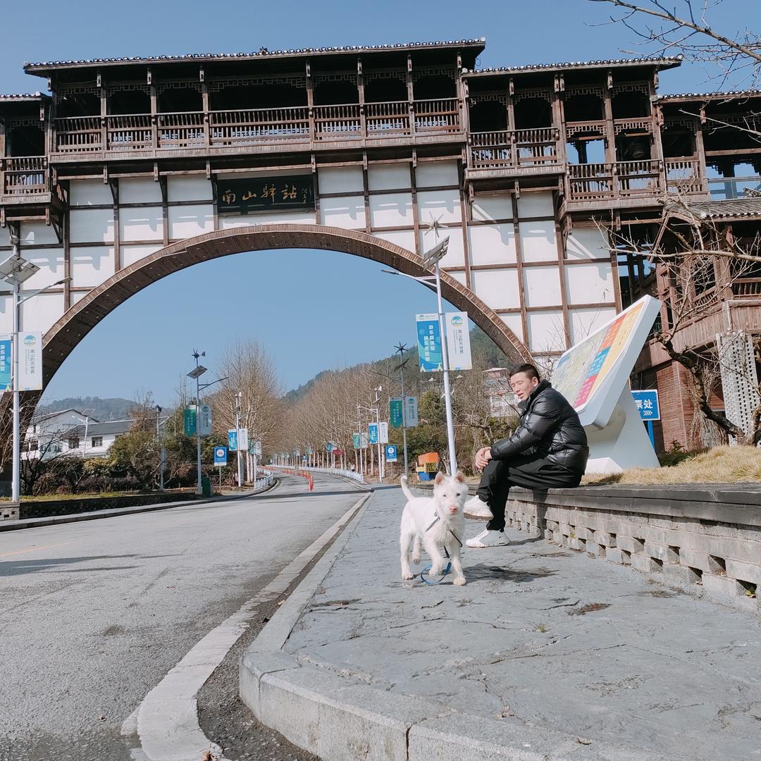 户外生态抽样调查队