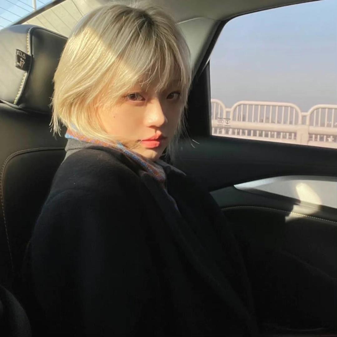 小羊w