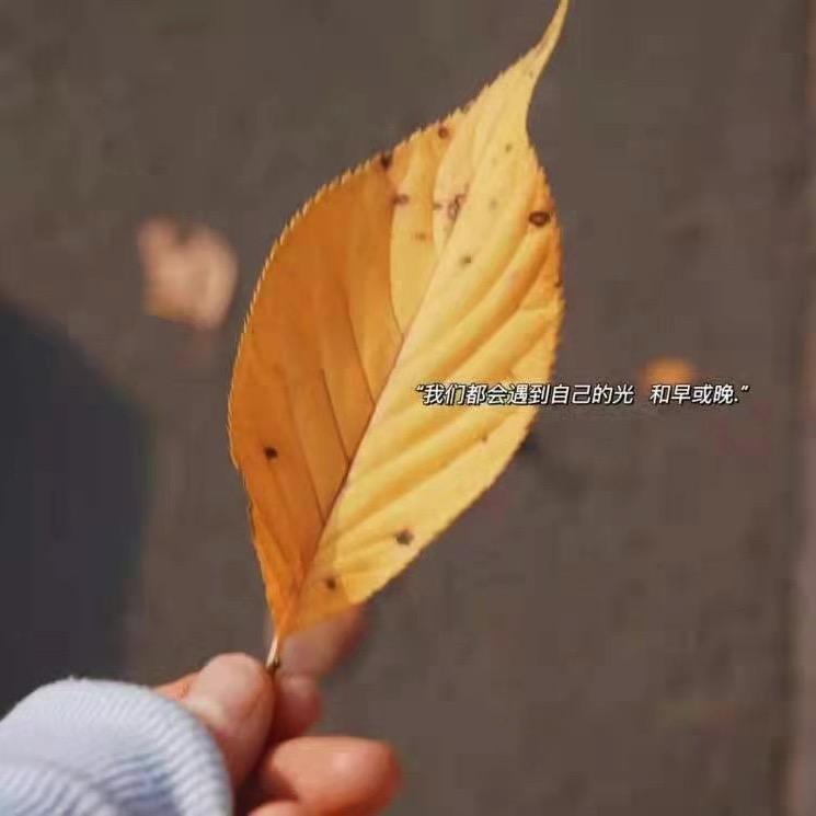 宋宋爱摆烂