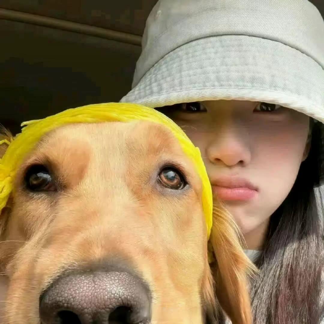 下次见-