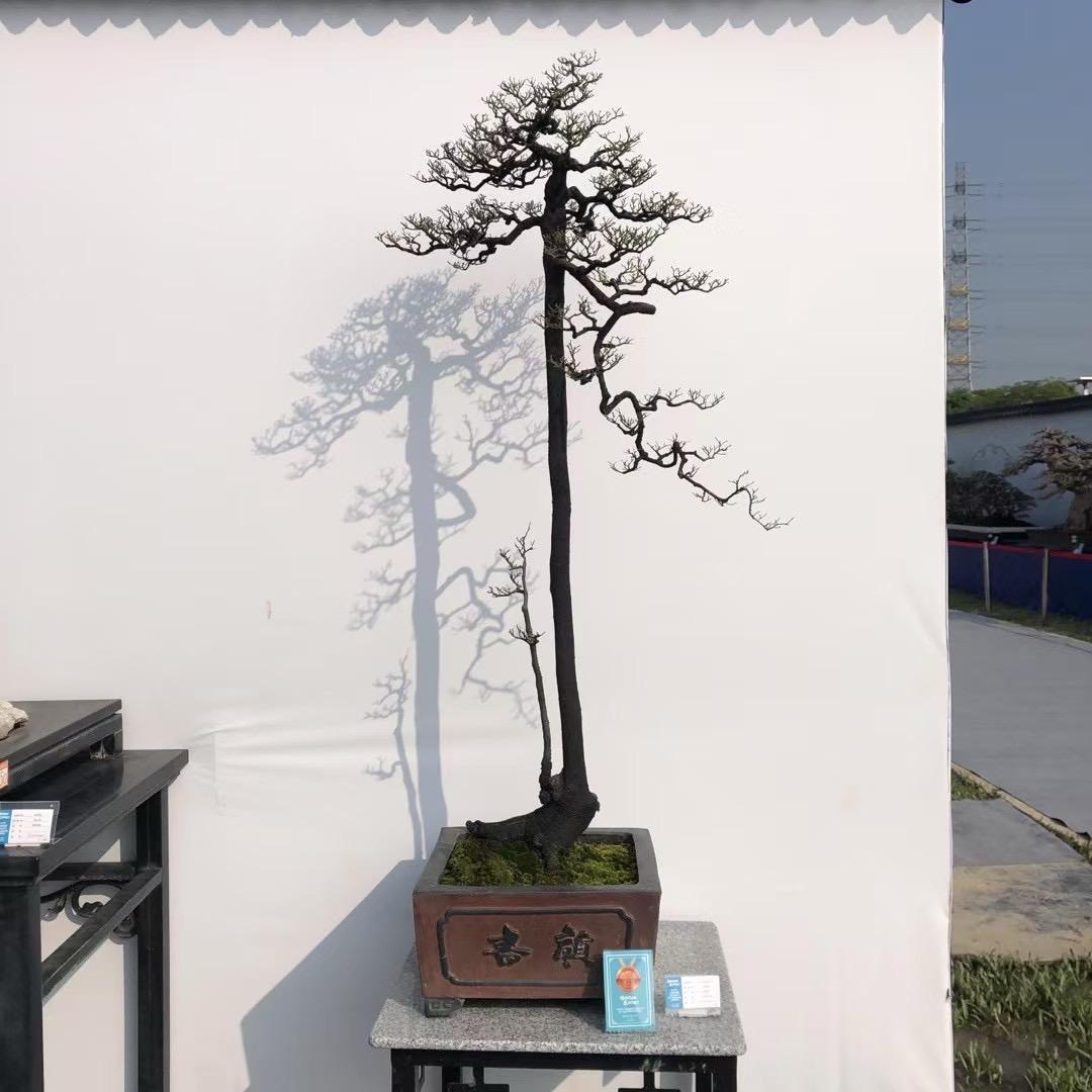 以景待人