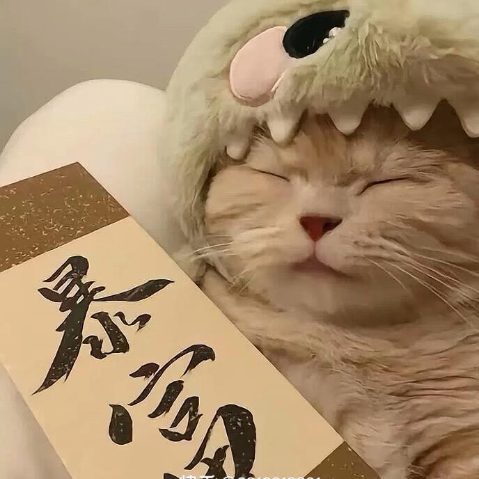 回忆皆是不甘
