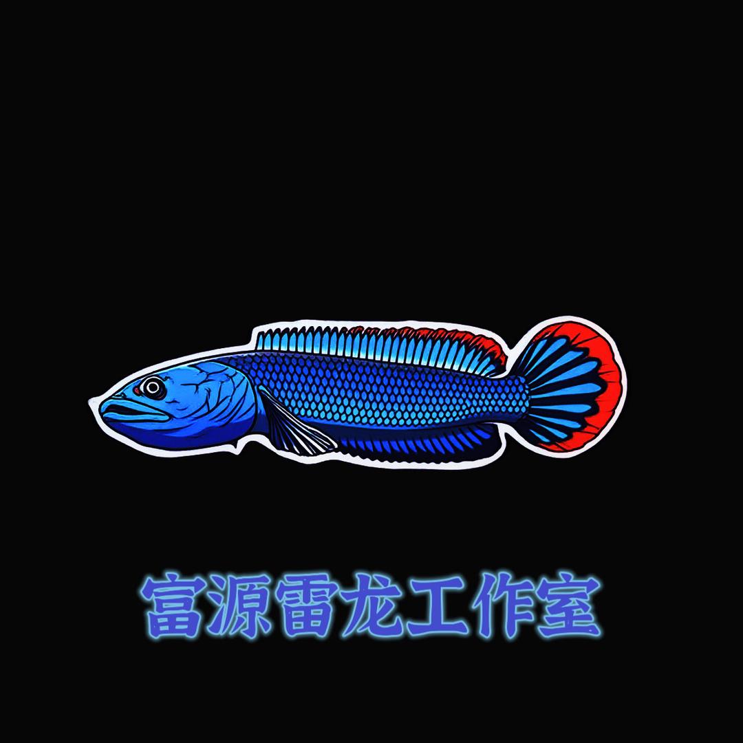 富源雷龙工作室