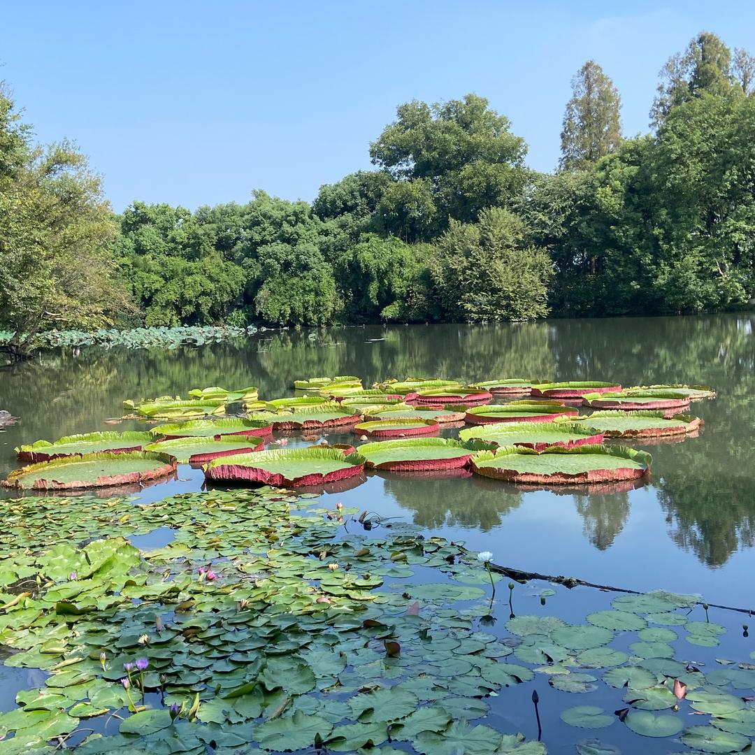 ✨Y@云love昊♥️