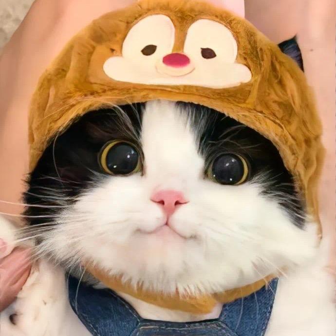 🌈🌈🌈佛兰奕
