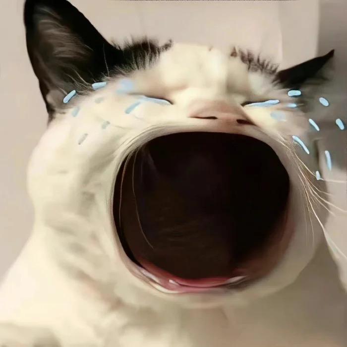 我讨厌这个世界