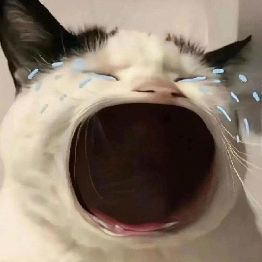 柚子也可口/•᷅•᷄\୭