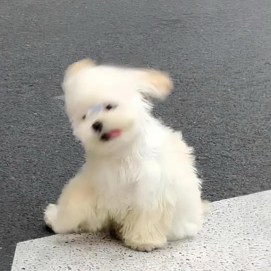 冯.兰兰..
