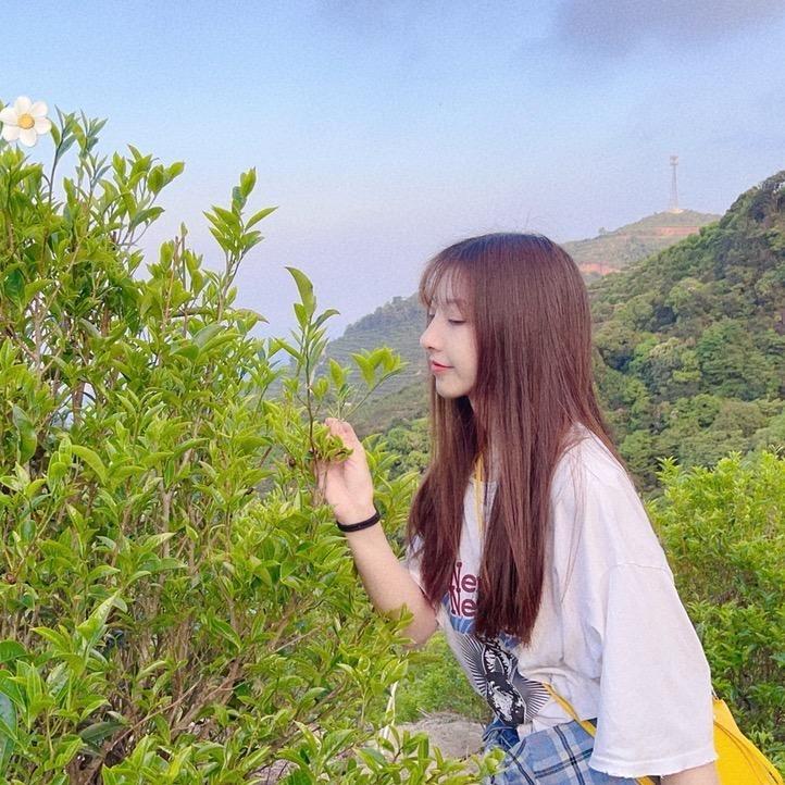 郑晓晓