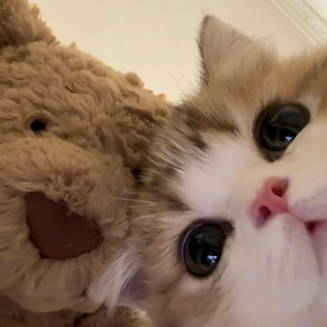 小田（喜欢点点豆豆版）