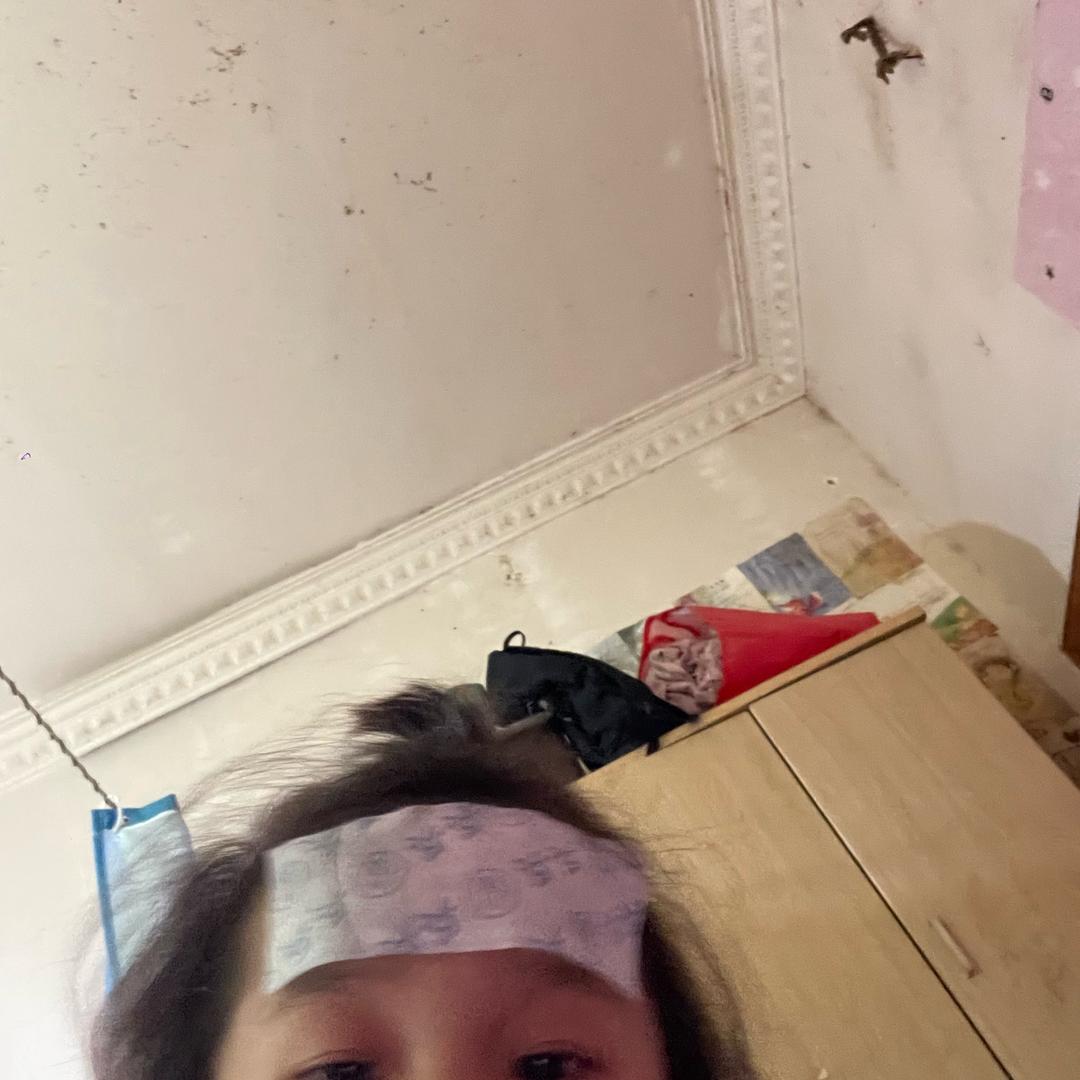 树而静、风而不止