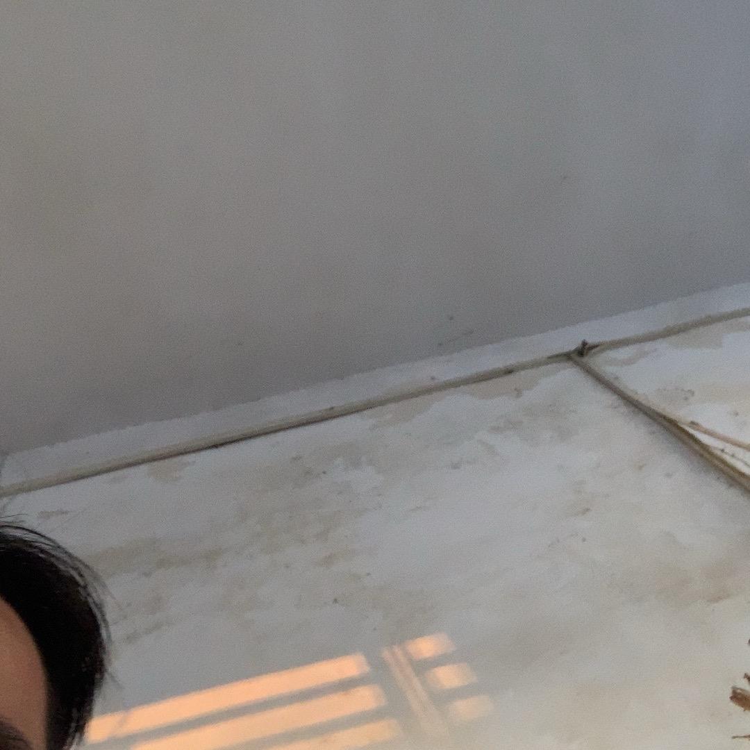 聚餐v