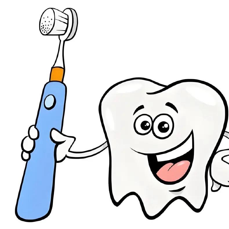 电动牙刷适配替换头（工厂直销）