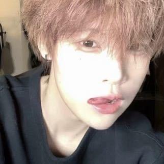 三鹏商行爱丽丝防12直播号