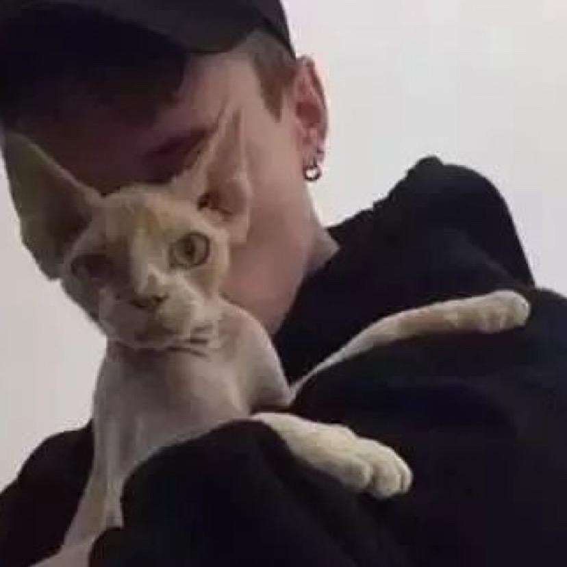 宇大大