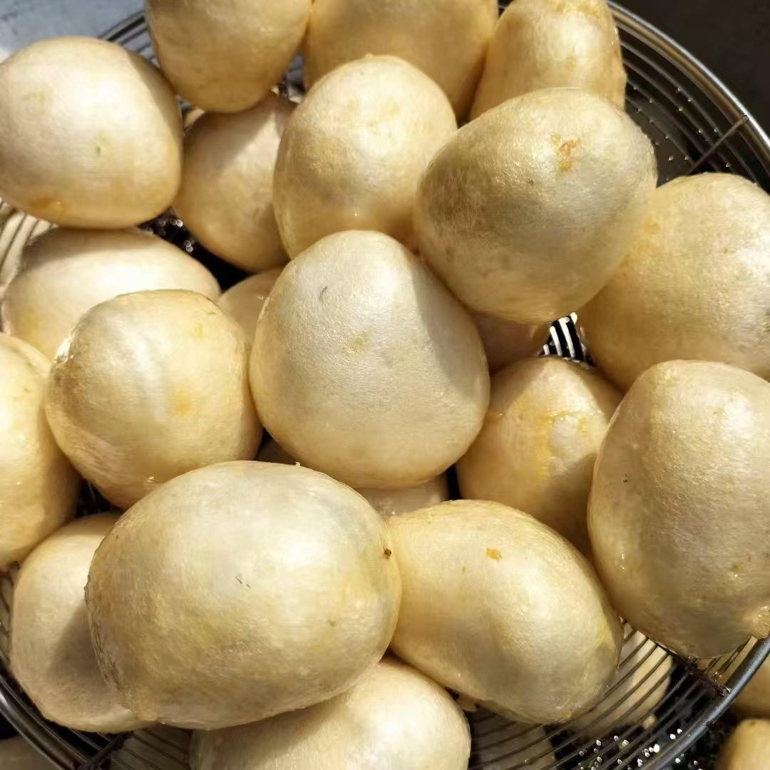 惠来广升海产