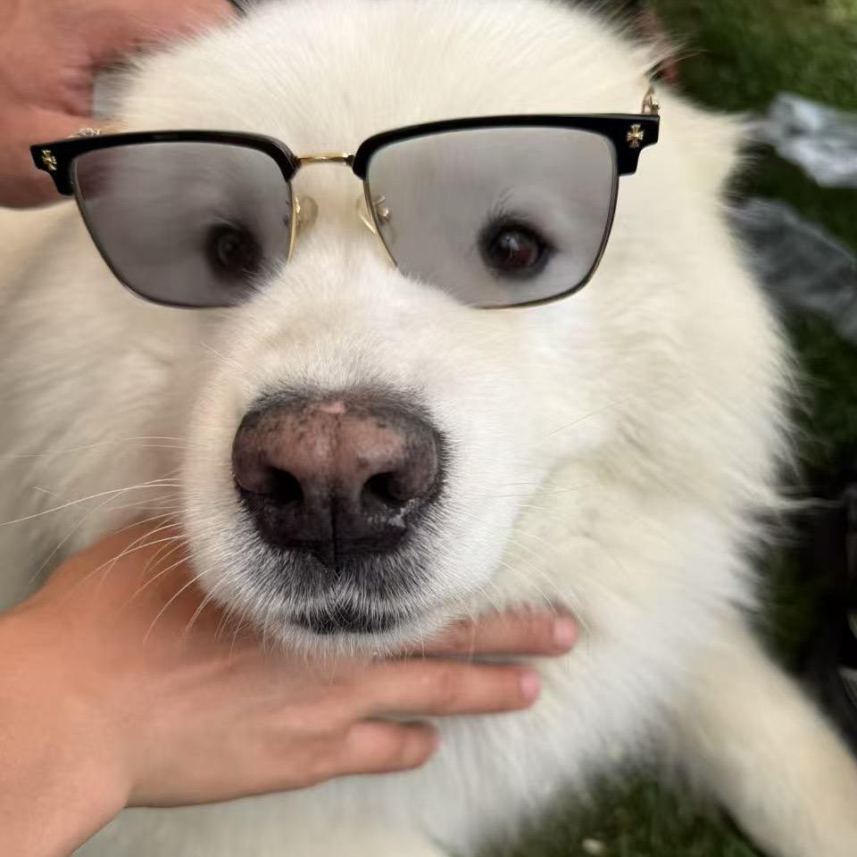 嘉兴比格文化郑英俊