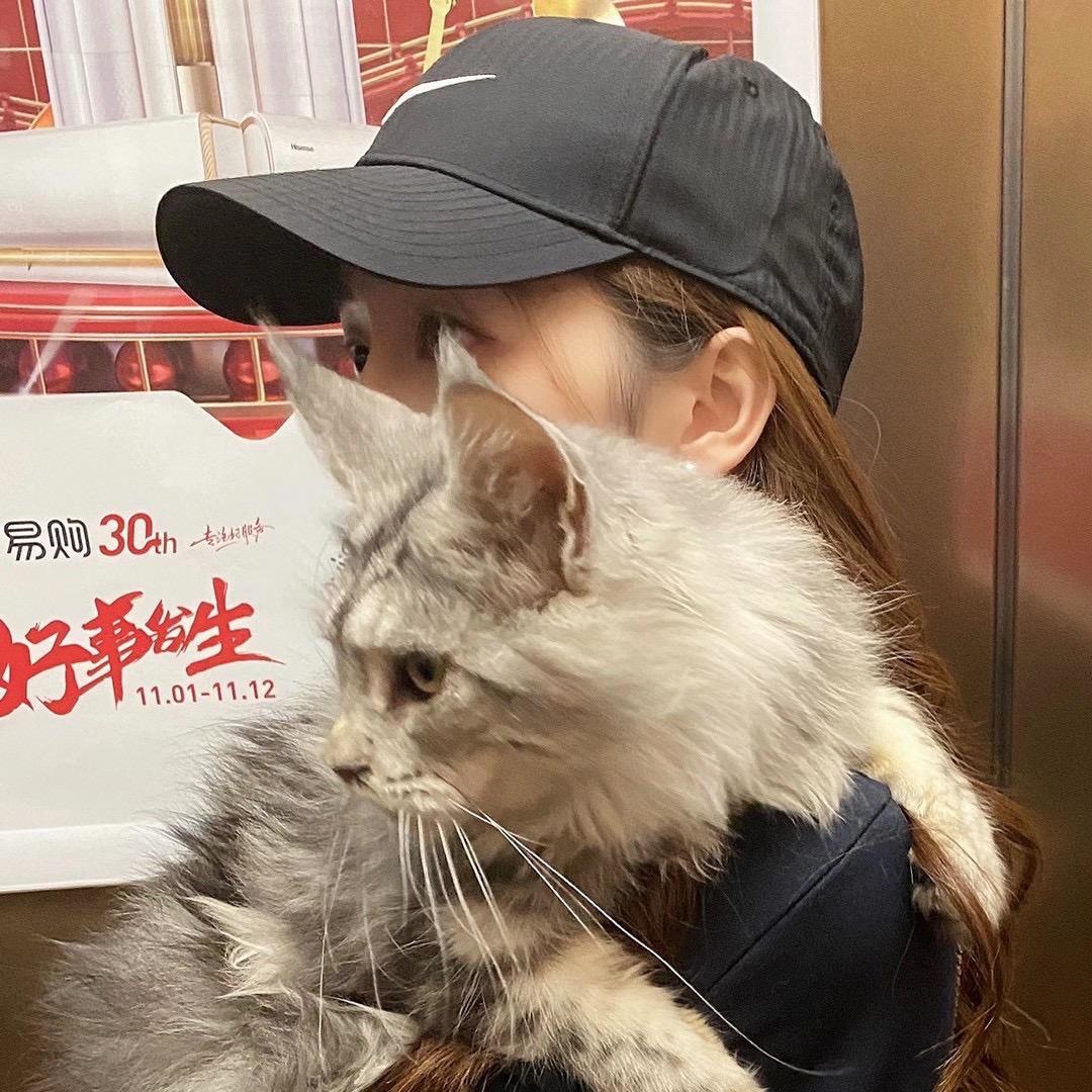晴子的朋友圈