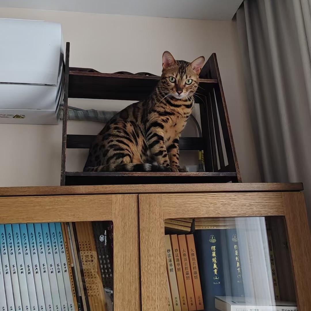 玖怡