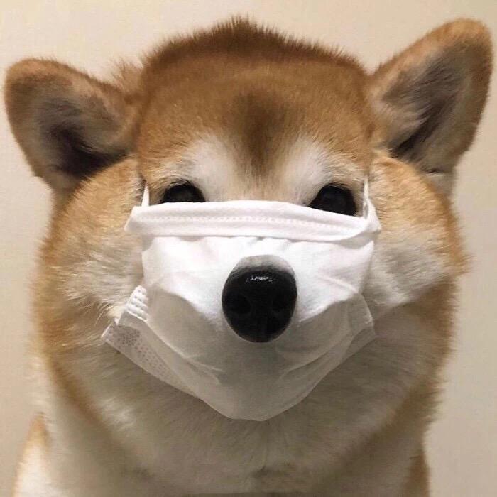 Sin