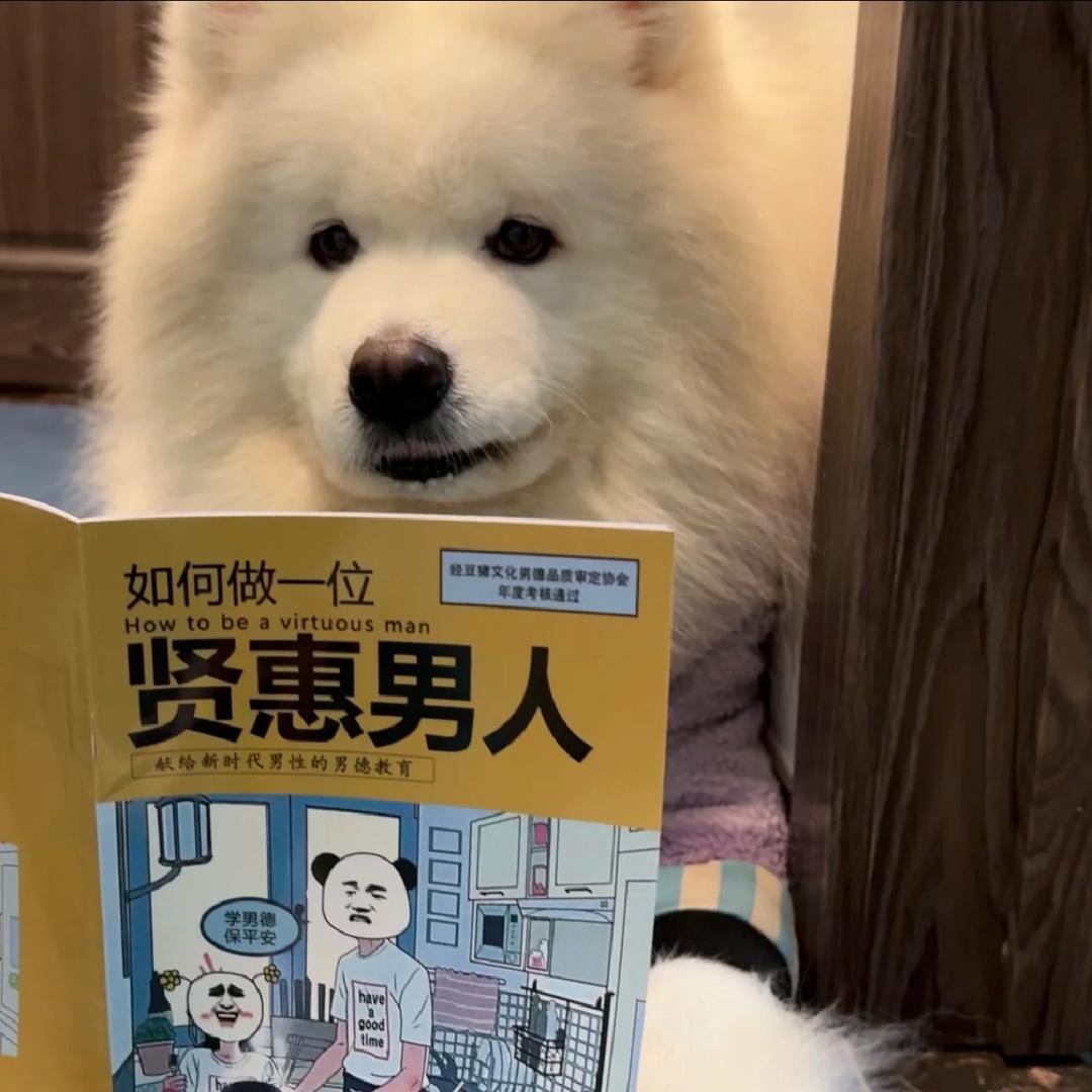 大明白ouo