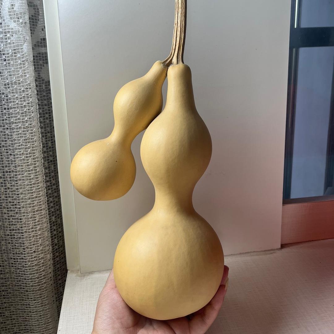 葫涂人生