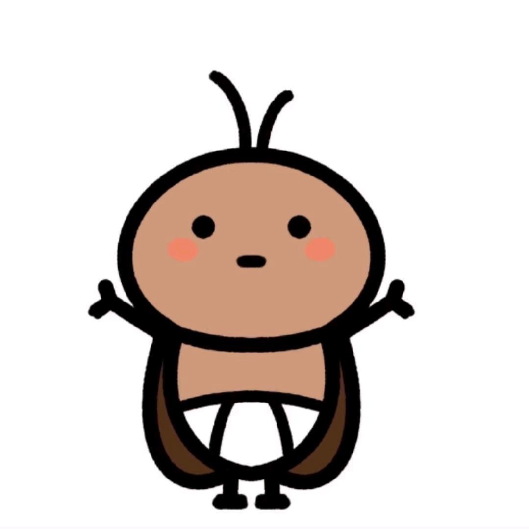 金堂张先生企业家