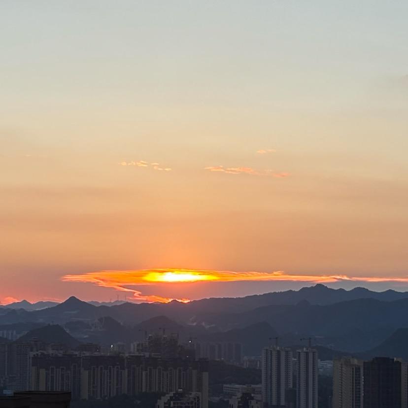 阳阳