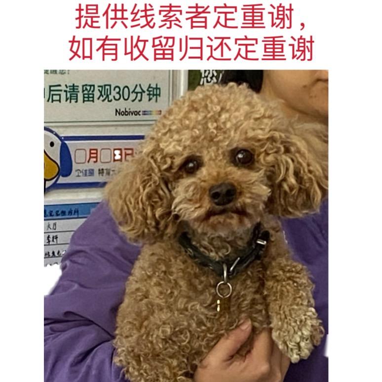 lucky小张.
