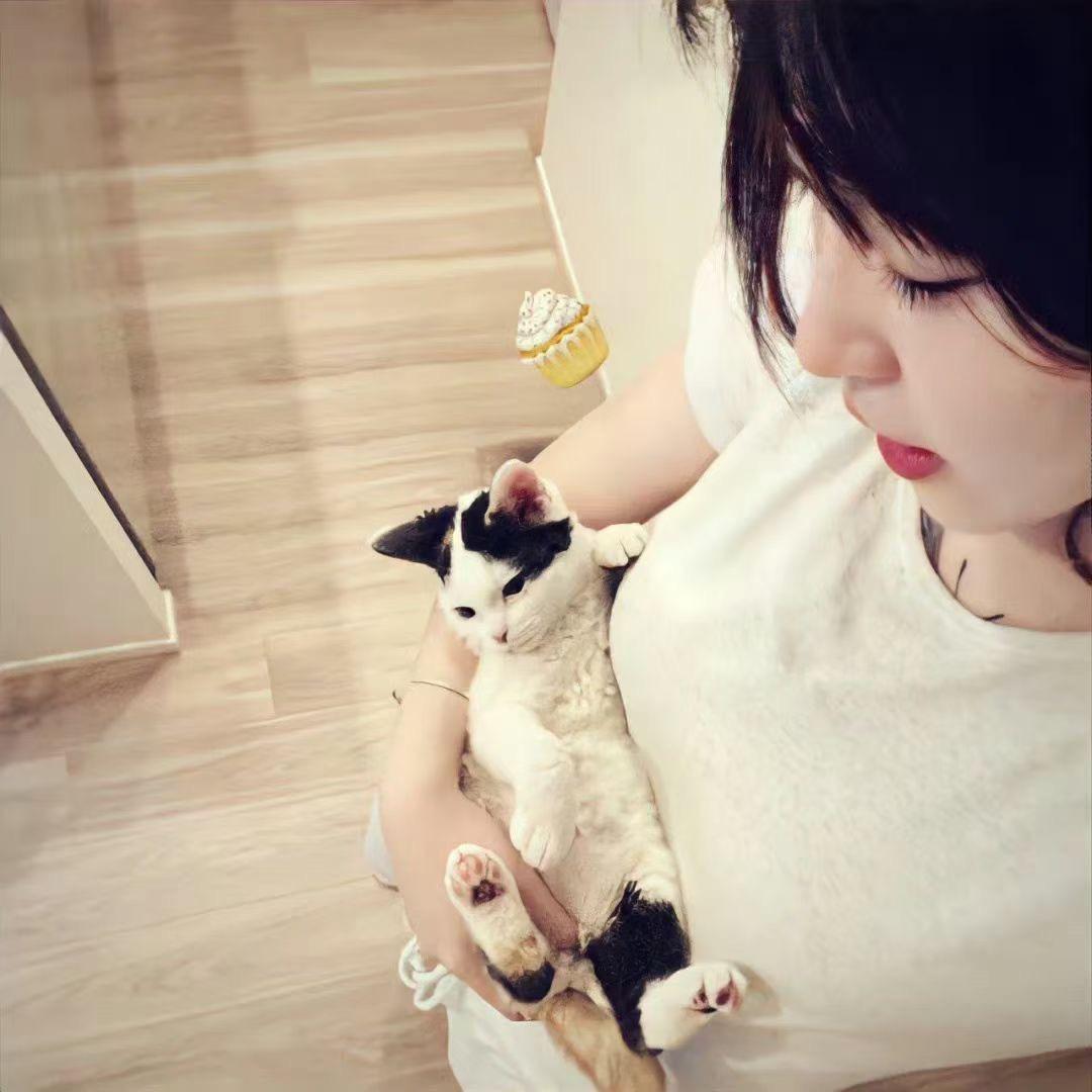 破防的女人66